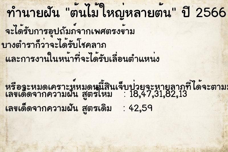 ทำนายฝัน ต้นไม้ใหญ่หลายต้น ทำนายฝัน ต้นไม้ใหญ่หลายต้น