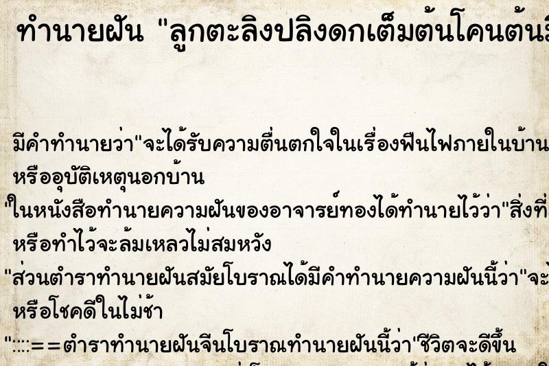 ทำนายฝัน ลูกตะลิงปลิงดกเต็มต้นโคนต้นมีผลใหญ่ ตำราโบราณ แม่นที่สุดในโลก