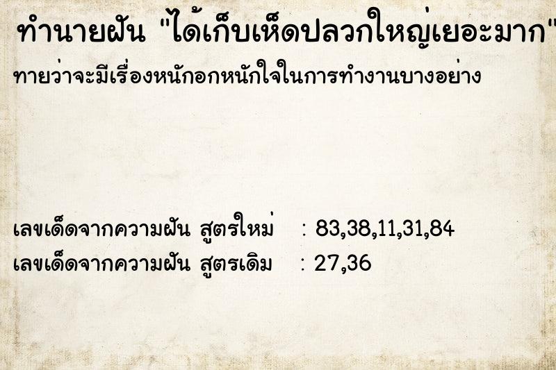ทำนายฝันทำนายฝันได้เก็บเห็ดปลวกใหญ่เยอะมาก