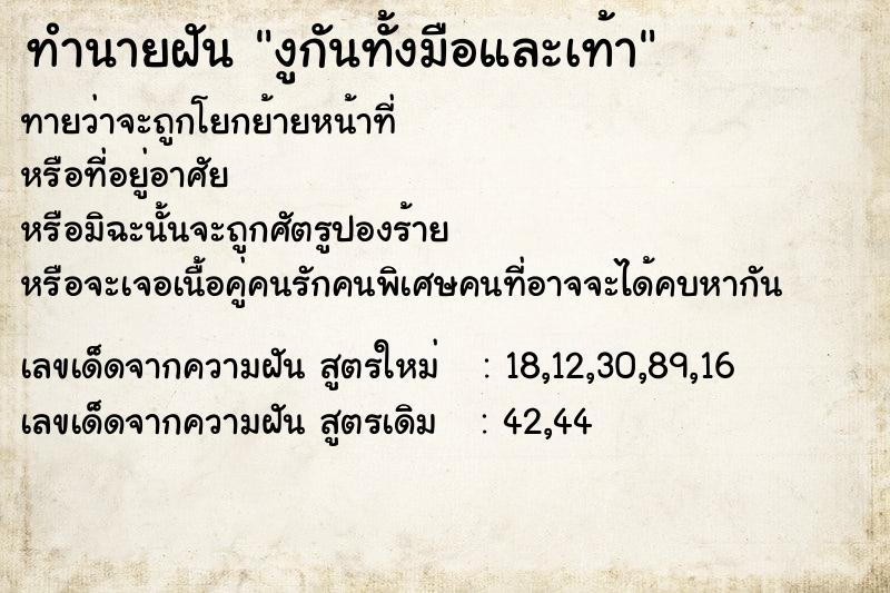 ทำนายฝันงูกันทั้งมือและเท้า ทำนายฝันทำนายฝันงูกันทั้งมือและเท้า