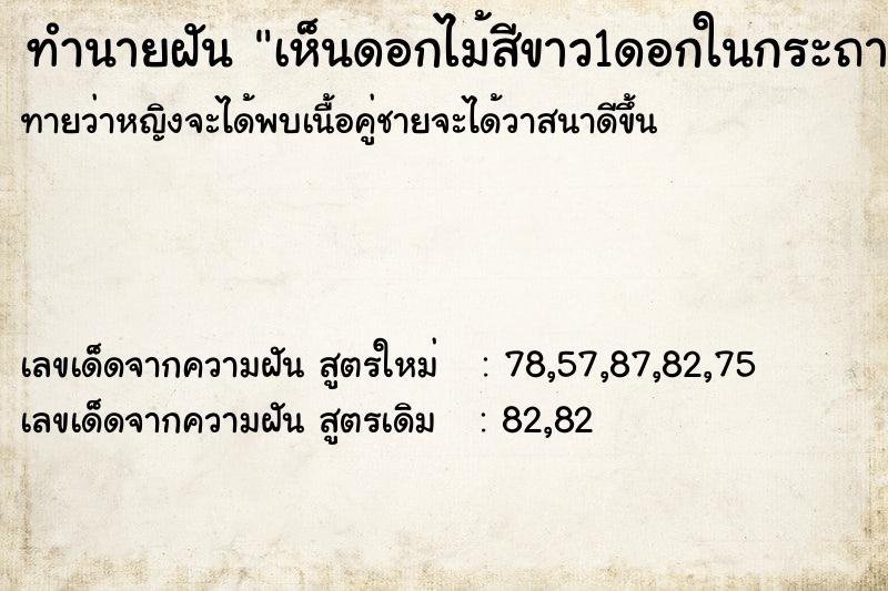 ทำนายฝันทำนายฝันเห็นดอกไม้สีขาว1ดอกในกระถาง