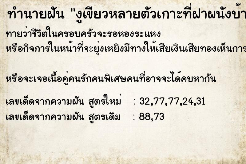 ทำนายฝันงูเขียวหลายตัวเกาะที่ฝาผนังบ้าน ทำนายฝันทำนายฝันงูเขียวหลายตัวเกาะที่ฝาผนังบ้าน