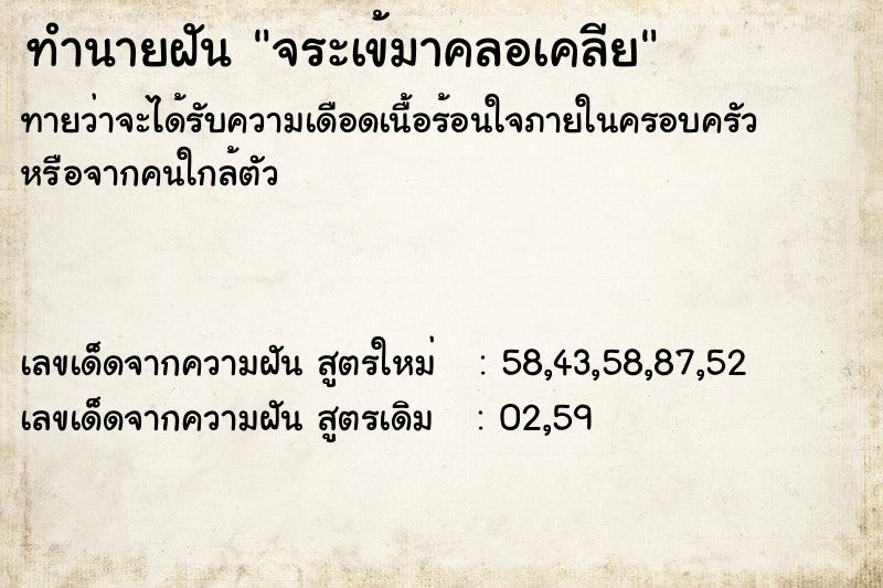 ทำนายฝัน จระเข้มาคลอเคลีย ทำนายฝัน จระเข้มาคลอเคลีย
