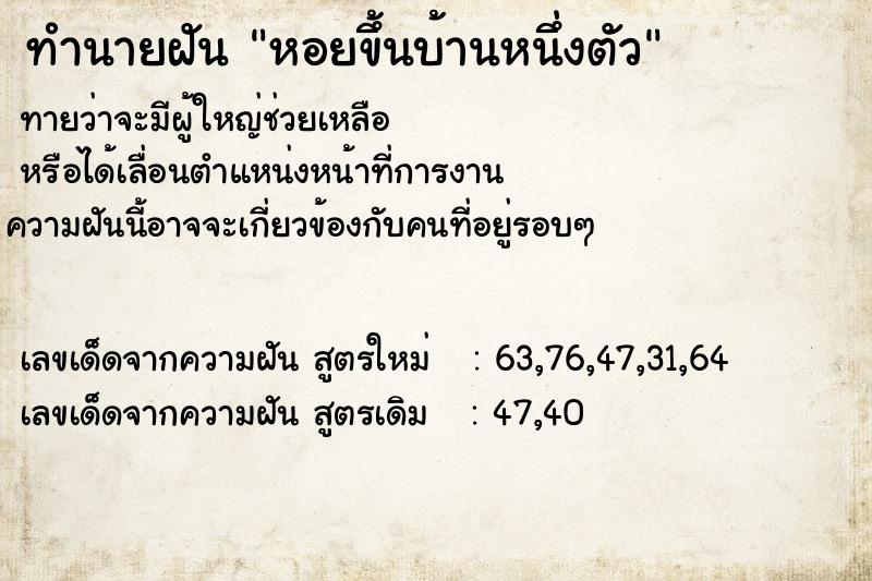 ทำนายฝันทำนายฝันหอยขึ้นบ้านหนึ่งตัว