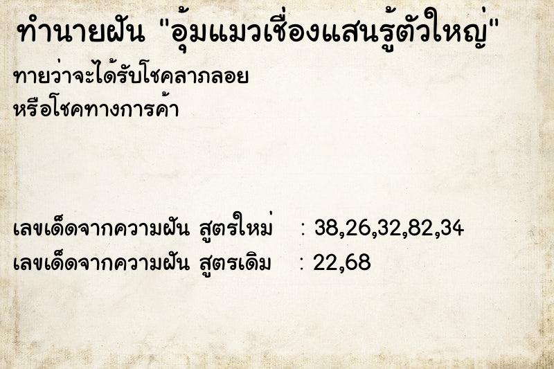 ทำนายฝัน อุ้มแมวเชื่องแสนรู้ตัวใหญ่