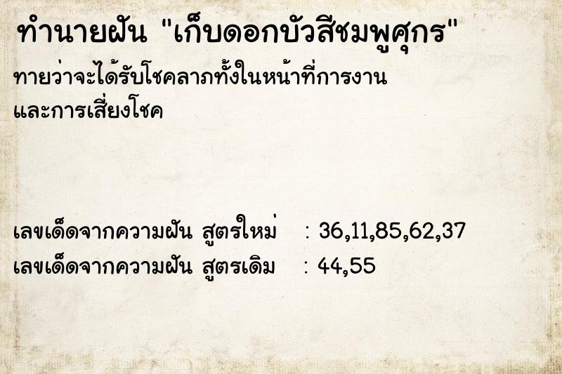 ทำนายฝันทำนายฝันเก็บดอกบัวสีชมพูศุกร