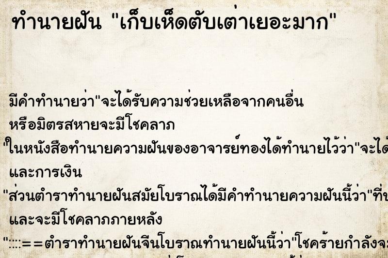 ทำนายฝัน เก็บเห็ดตับเต่าเยอะมาก ทำนายฝัน เก็บเห็ดตับเต่าเยอะมาก