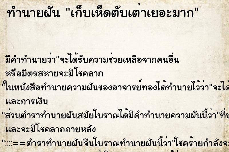 ทำนายฝัน เก็บเห็ดตับเต่าเยอะมาก ตำราโบราณ แม่นที่สุดในโลก