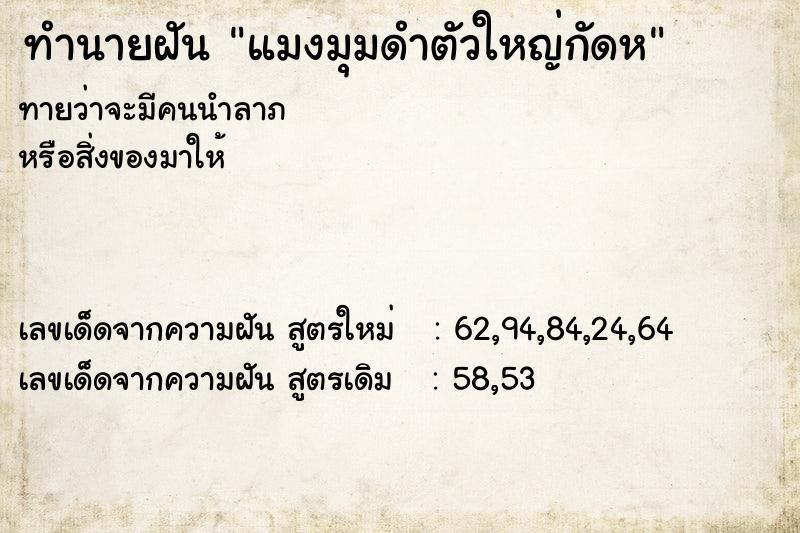 ทำนายฝันทำนายฝันแมงมุมดำตัวใหญ่กัดห