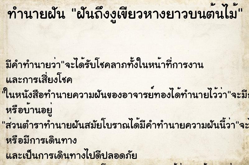 ทำนายฝันฝันถึงงูเขียวหางยาวบนต้นไม้ ทำนายฝันทำนายฝันฝันถึงงูเขียวหางยาวบนต้นไม้