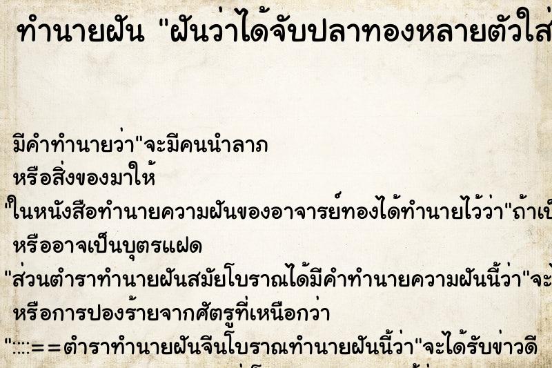 ทำนายฝันฝันว่าได้จับปลาทองหลายตัวใส่ตู้ปลา ทำนายฝันทำนายฝันฝันว่าได้จับปลาทองหลายตัวใส่ตู้ปลา