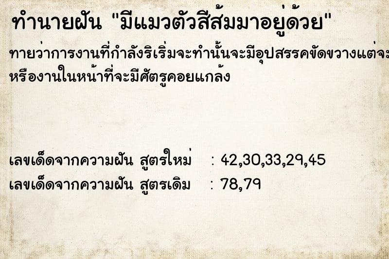 ทำนายฝันทำนายฝันมีแมวตัวสีส้มมาอยู่ด้วย