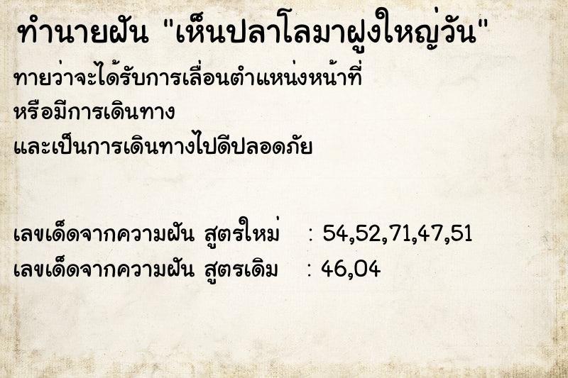 ทำนายฝันทำนายฝันเห็นปลาโลมาฝูงใหญ่วัน
