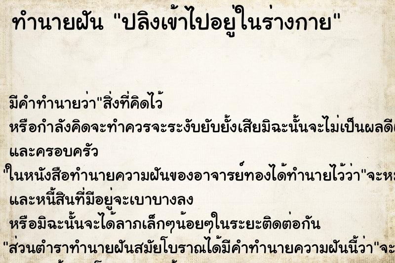ทำนายฝันปลิงเข้าไปอยู่ในร่างกาย ทำนายฝันทำนายฝันปลิงเข้าไปอยู่ในร่างกาย