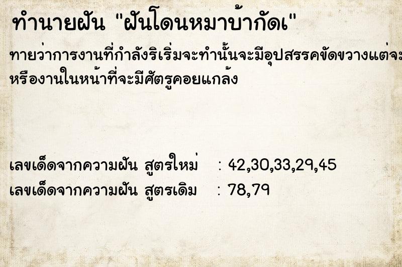 ทำนายฝันฝันโดนหมาบ้ากัดà ทำนายฝันทำนายฝันฝันโดนหมาบ้ากัดà