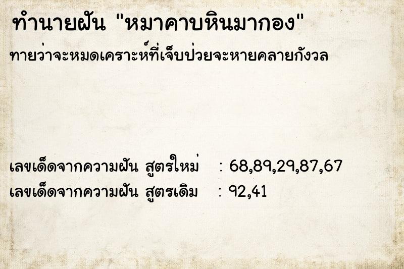 ทำนายฝันหมาคาบหินมากอง ทำนายฝันทำนายฝันหมาคาบหินมากอง