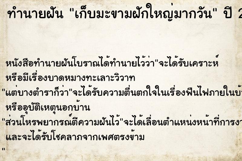 ทำนายฝันเก็บมะขามฝักใหญ่มากวัน ทำนายฝันทำนายฝันเก็บมะขามฝักใหญ่มากวัน