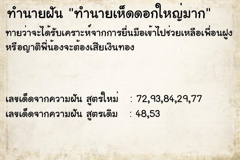 ทำนายฝันทำนายเห็ดดอกใหญ่มาก ทำนายฝันทำนายฝันทำนายเห็ดดอกใหญ่มาก