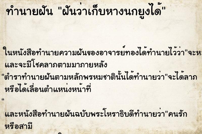 ทำนายฝันทำนายฝันฝันว่าเก็บหางนกยูงได้