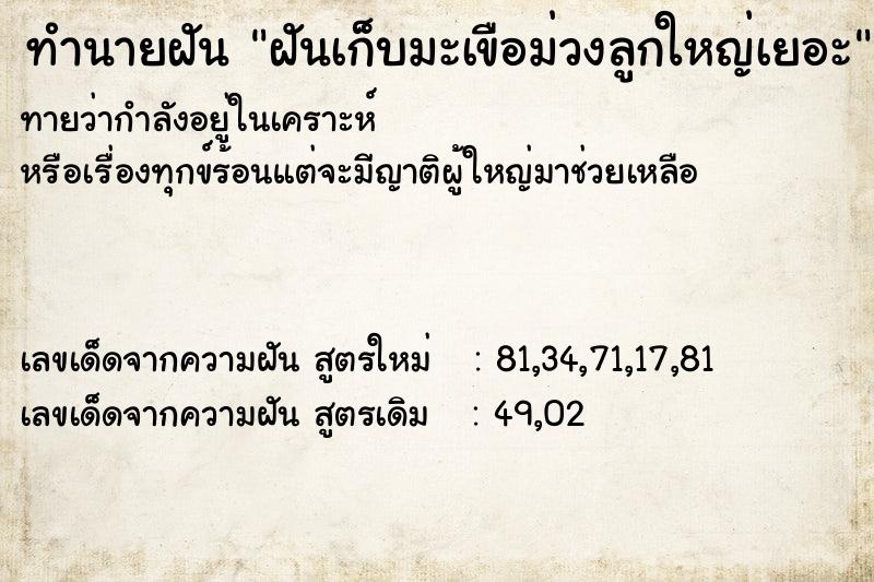 ทำนายฝันฝันเก็บมะเขือม่วงลูกใหญ่เยอะ ทำนายฝันทำนายฝันฝันเก็บมะเขือม่วงลูกใหญ่เยอะ