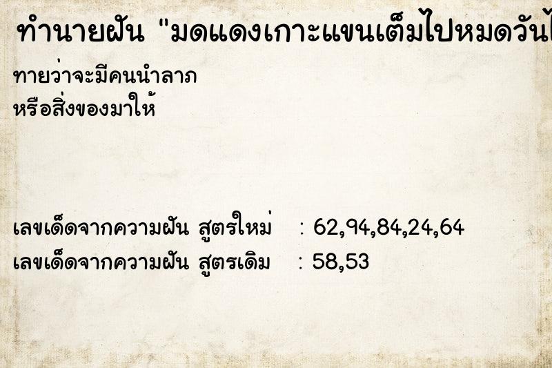 ทำนายฝันทำนายฝันมดแดงเกาะแขนเต็มไปหมดวันไม่รู้
