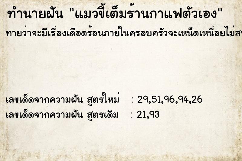 ทำนายฝันทำนายฝันแมวขี้เต็มร้านกาแฟตัวเอง