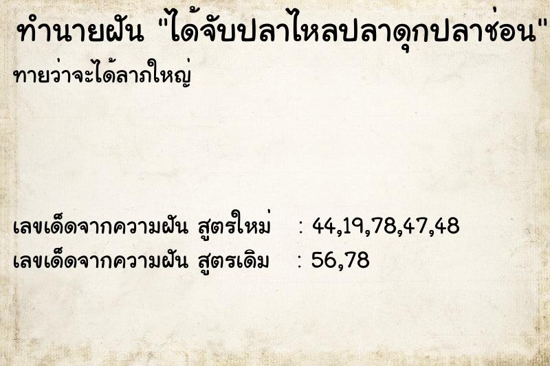ทำนายฝันทำนายฝันได้จับปลาไหลปลาดุกปลาช่อน