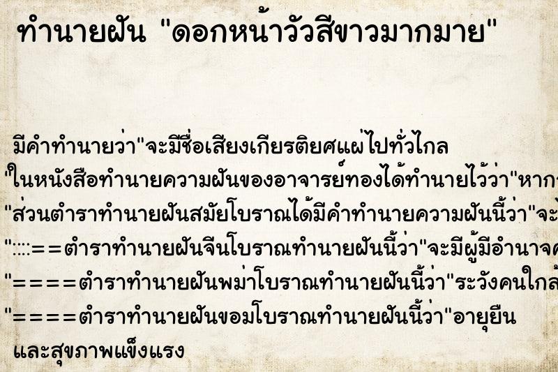 ทำนายฝัน ดอกหน้าวัวสีขาวมากมาย ทำนายฝัน ดอกหน้าวัวสีขาวมากมาย