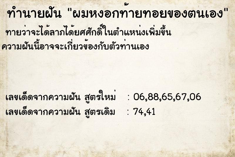 ทำนายฝัน ผมหงอกท้ายทอยของตนเอง ทำนายฝัน ผมหงอกท้ายทอยของตนเอง