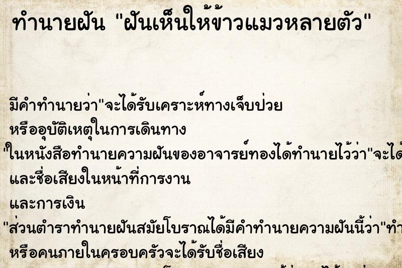 ทำนายฝันทำนายฝันฝันเห็นให้ข้าวแมวหลายตัว