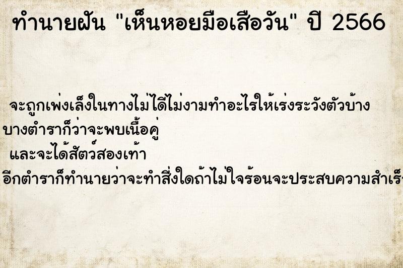 ทำนายฝัน เห็นหอยมือเสือวัน ตำราโบราณ แม่นที่สุดในโลก