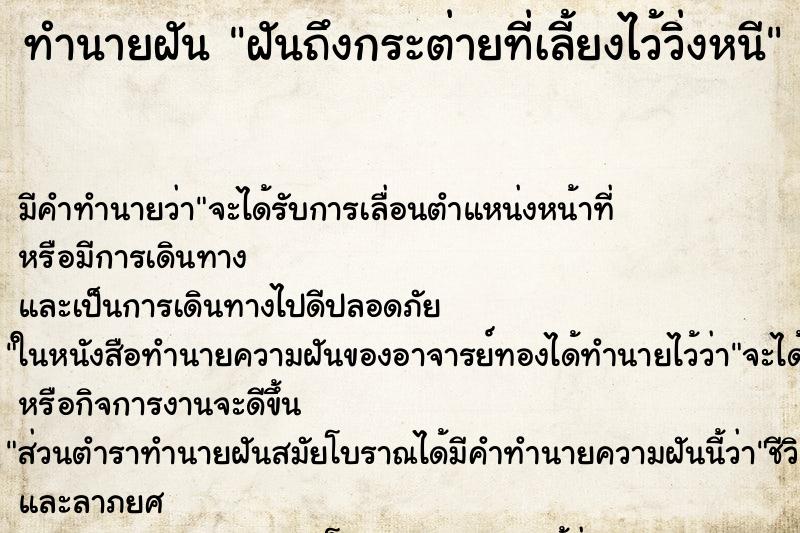 ทำนายฝัน ฝันถึงกระต่ายที่เลี้ยงไว้วิ่งหนี ทำนายฝัน ฝันถึงกระต่ายที่เลี้ยงไว้วิ่งหนี