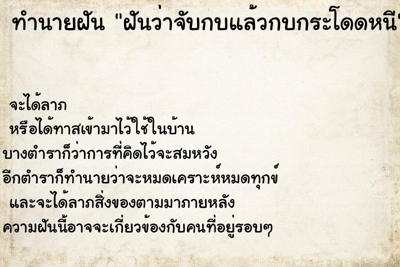 ทำนายฝัน ฝันว่าจับกบแล้วกบกระโดดหนี ทำนายฝัน ฝันว่าจับกบแล้วกบกระโดดหนี