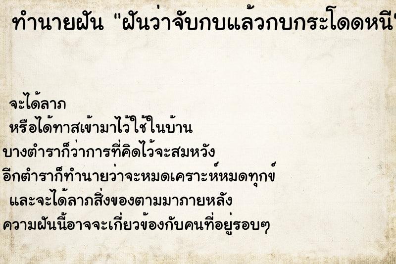 ทำนายฝัน ฝันว่าจับกบแล้วกบกระโดดหนี ตำราโบราณ แม่นที่สุดในโลก