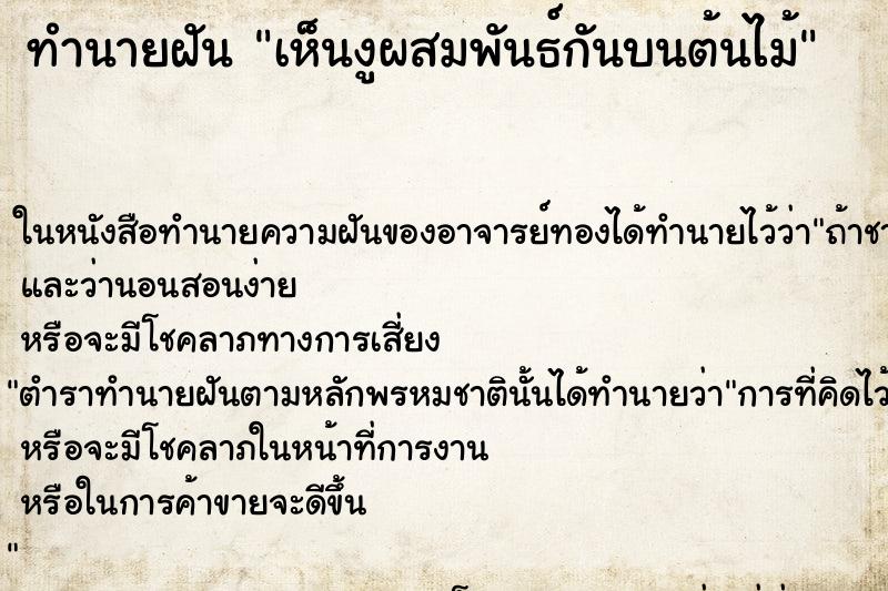 ทำนายฝัน เห็นงูผสมพันธ์กันบนต้นไม้ ทำนายฝัน เห็นงูผสมพันธ์กันบนต้นไม้