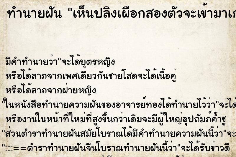 ทำนายฝัน เห็นปลิงเผือกสองตัวจะเข้ามาเกาะสะดุ้งตกใจ ทำนายฝัน เห็นปลิงเผือกสองตัวจะเข้ามาเกาะสะดุ้งตกใจ
