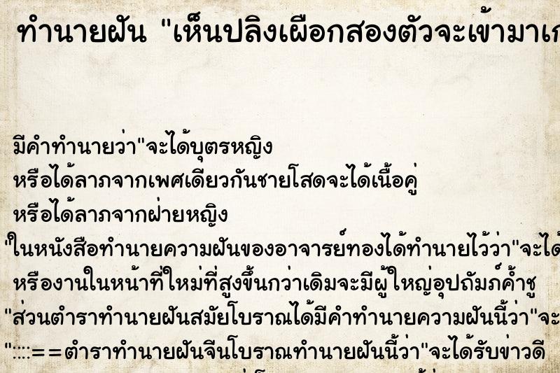 ทำนายฝัน เห็นปลิงเผือกสองตัวจะเข้ามาเกาะสะดุ้งตกใจ ตำราโบราณ แม่นที่สุดในโลก