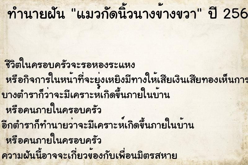 ทำนายฝันแมวกัดนิ้วนางข้างขวา ทำนายฝันทำนายฝันแมวกัดนิ้วนางข้างขวา