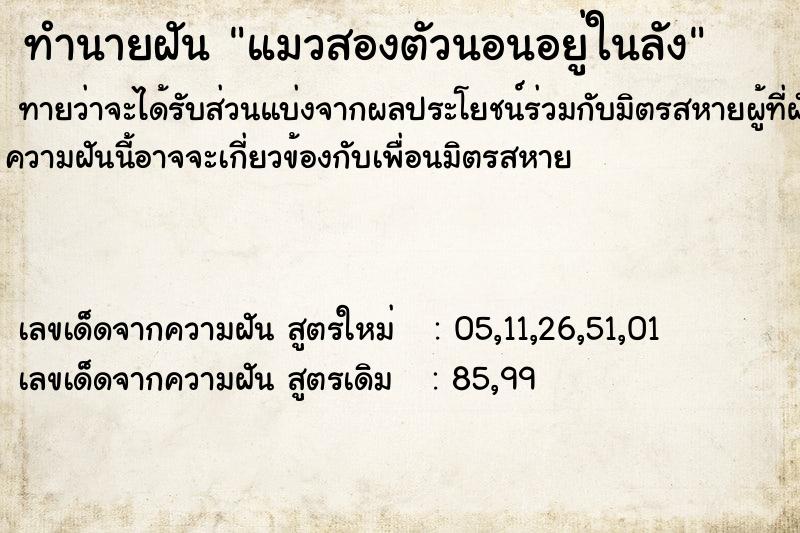 ทำนายฝันแมวสองตัวนอนอยู่ในลัง ทำนายฝันทำนายฝันแมวสองตัวนอนอยู่ในลัง