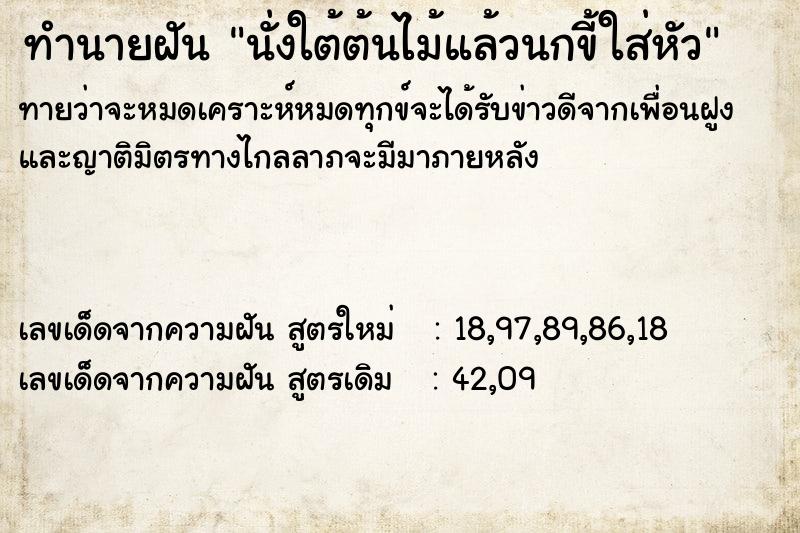 ทำนายฝันนั่งใต้ต้นไม้แล้วนกขี้ใส่หัว ทำนายฝันทำนายฝันนั่งใต้ต้นไม้แล้วนกขี้ใส่หัว