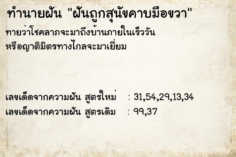 ทำนายฝัน ฝันถูกสุนัขคาบมือขวา ทำนายฝัน ฝันถูกสุนัขคาบมือขวา