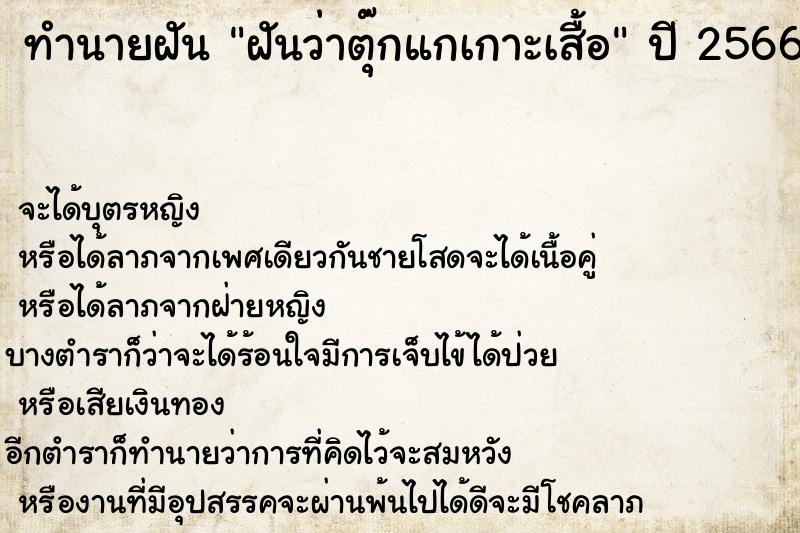 ทำนายฝันทำนายฝันฝันว่าตุ๊กแกเกาะเสื้อ