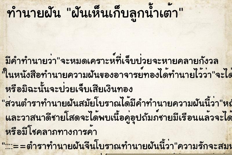 ทำนายฝัน ฝันเห็นเก็บลูกน้ำเต้า ทำนายฝัน ฝันเห็นเก็บลูกน้ำเต้า