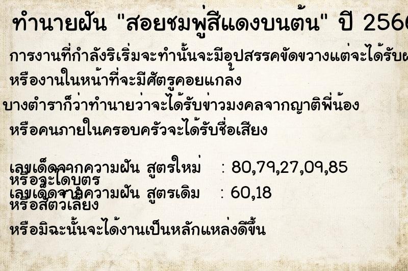 ทำนายฝัน สอยชมพู่สีแดงบนต้น ทำนายฝัน สอยชมพู่สีแดงบนต้น