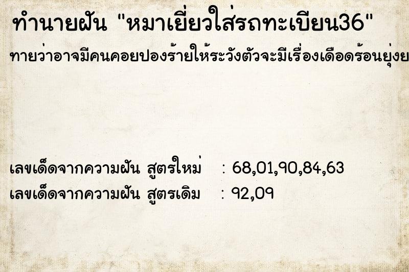 ทำนายฝันทำนายฝันหมาเยี่ยวใส่รถทะเบียน36