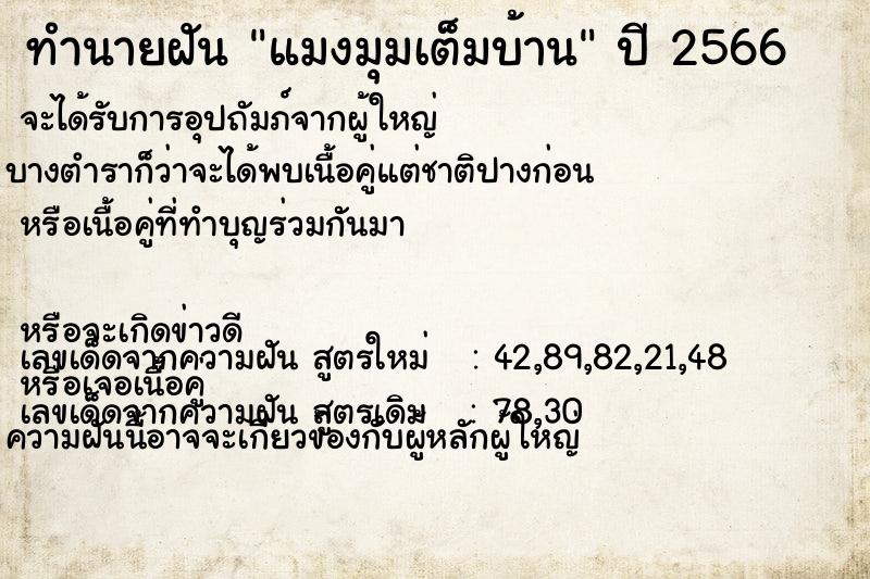 ทำนายฝัน แมงมุมเต็มบ้าน ทำนายฝัน แมงมุมเต็มบ้าน