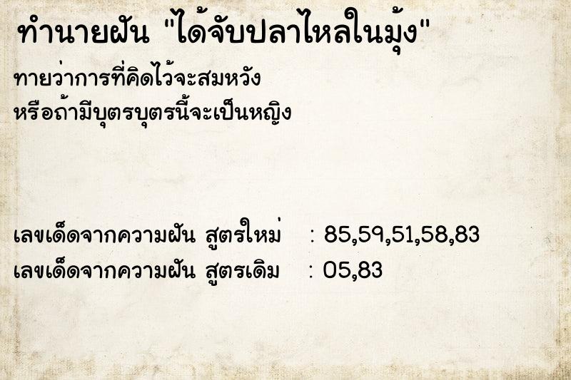 ทำนายฝันทำนายฝันได้จับปลาไหลในมุ้ง