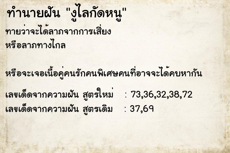 ทำนายฝันงูไลกัดหนู ทำนายฝันทำนายฝันงูไลกัดหนู