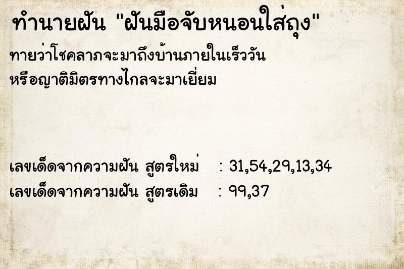 ทำนายฝันทำนายฝันฝันมือจับหนอนใส่ถุง