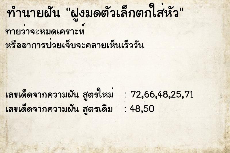 ทำนายฝันทำนายฝันฝูงมดตัวเล็กตกใส่หัว